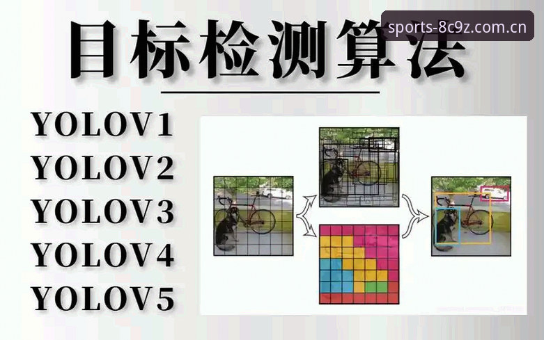 BSports体育平台使用教程深度评测：从注册到数据分析的完整体验报告