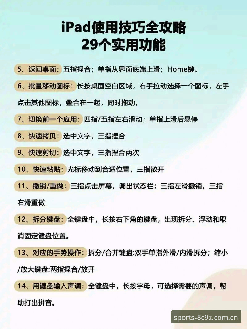 BSports使用教程对比：网页版vs移动端，哪个更适合你？